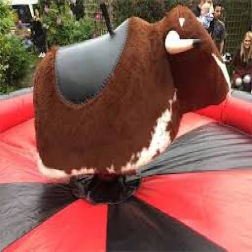 Mechanical Bull Ride in Parbhani