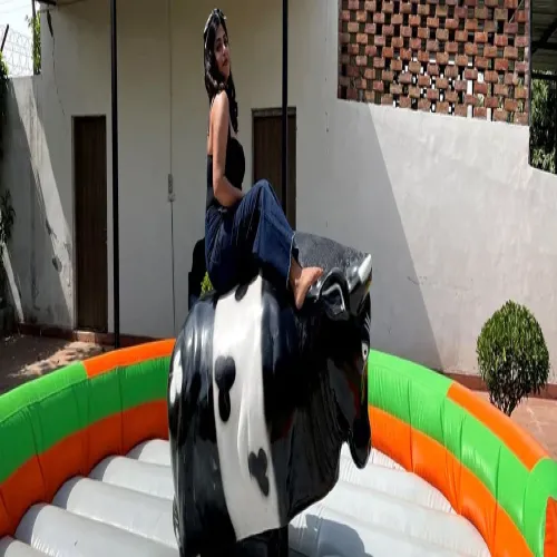 Srf Mechanical Bull Ride, Capacity: 150 kg, 150 Kgs Manufacturers in Datia